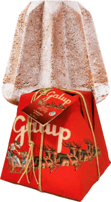 Pandoro Classico Galup