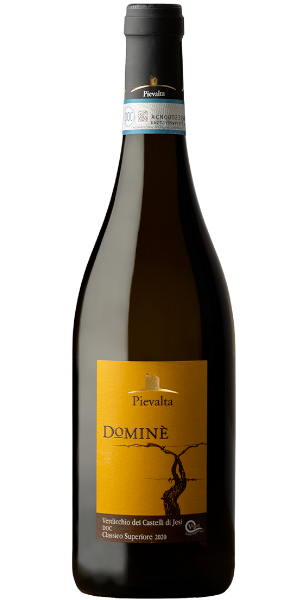 Verdicchio Castelli di Jesi DOC Domine Classico Superiore Pievalta