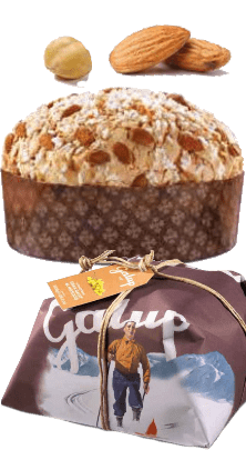 Panettone Gran Galup Al Moscato Moncucco Winter Edition Galup 1kg