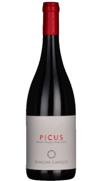 Picus Rosso Piceno Superiore DOP - Simone Capecci